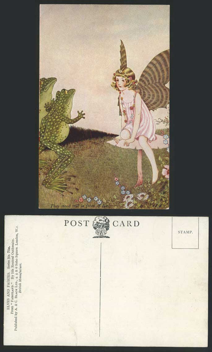 I R OUTHWAITE Old Postcard Fairyland Fairy Frog FROGS They stood in Front of Her