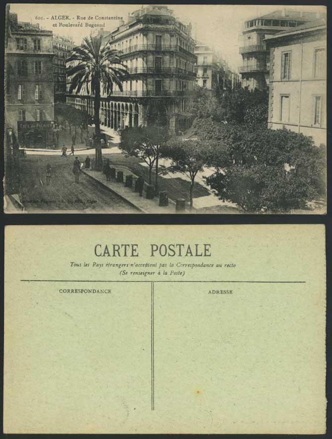 Algeria Old Postcard Alger Rue de Constantine, Boulevard Bugeaud Cafe de Palmier