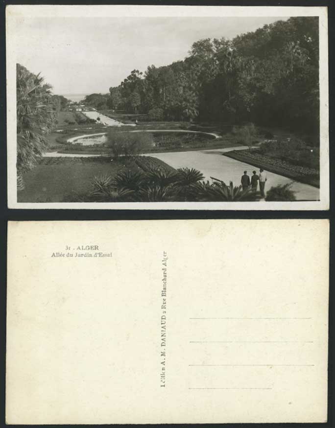 Algeria Old RP Postcard Alger Allee du Jardin d'Essai, Algiers Garden Pond Alley