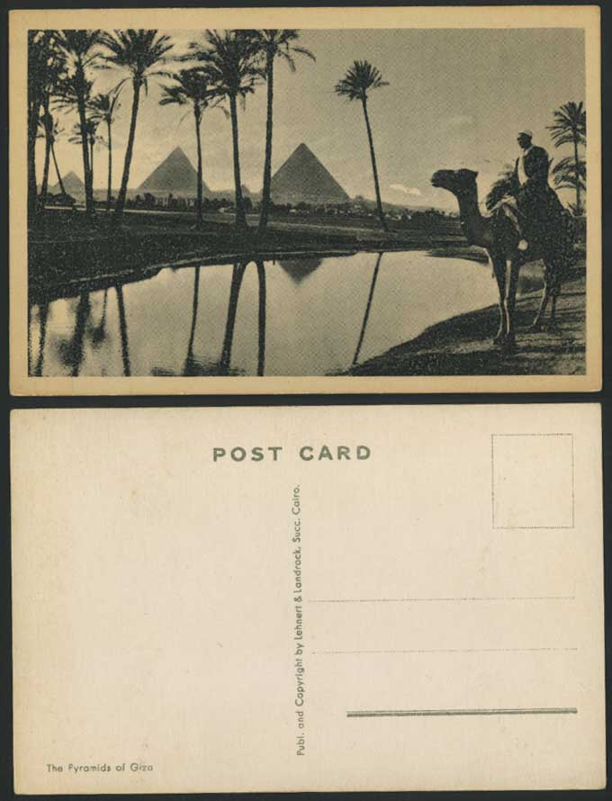 Egypt Old Postcard Cairo Pyramids Giza Camel Rider Nile