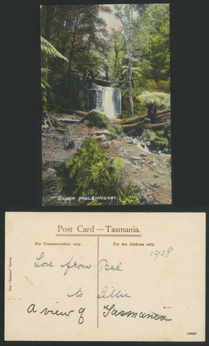 Australia Tasmania, SILVER FALLS Waterfalls Ferns Fern Trees Old Postcard Tasman