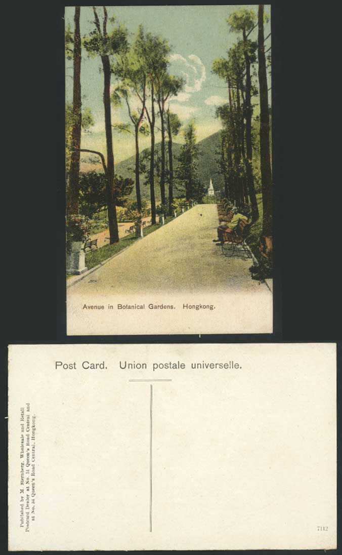 Hong Kong Old Colour Postcard Avenue, Botanical Gardens