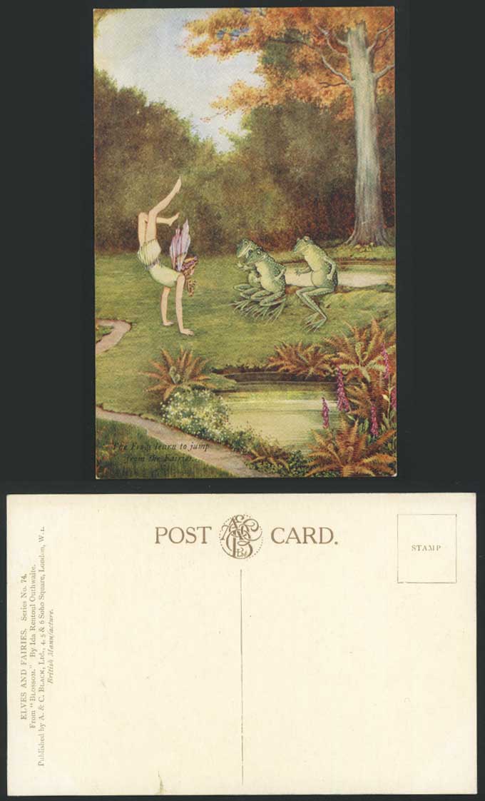 IR OUTHWAITE Old Postcard Frogs Learn Jump from Fairies from Blossom Elves Fairy