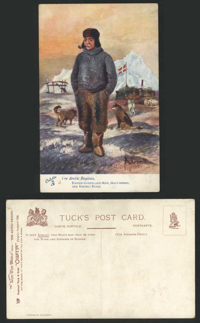Greenland Man Half-Breed Eskimo Dog Old Tuck's Oilette Postcard Denmark A Operti