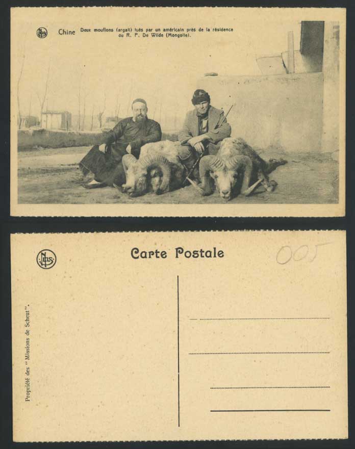 Mongolia China Old Postcard 2 SHEEP Killed by American Father De Wilde Residence