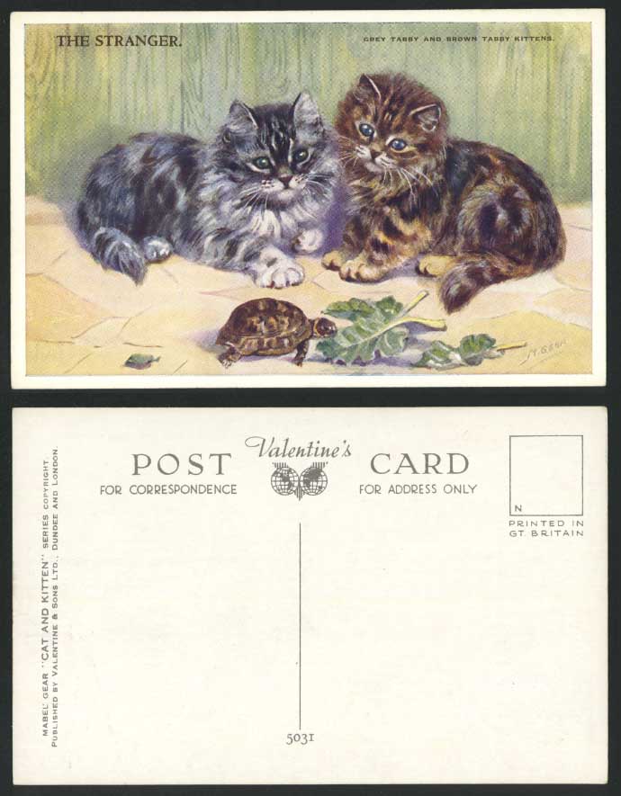 Turtle Tortoise Cats The Stranger Grey & Brown Tabby Kittens M Gear Old Postcard