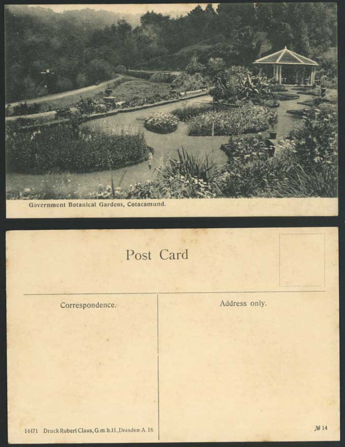India - Cotacamund, The Government Botanical Gardens Botanic Garden Old Postcard