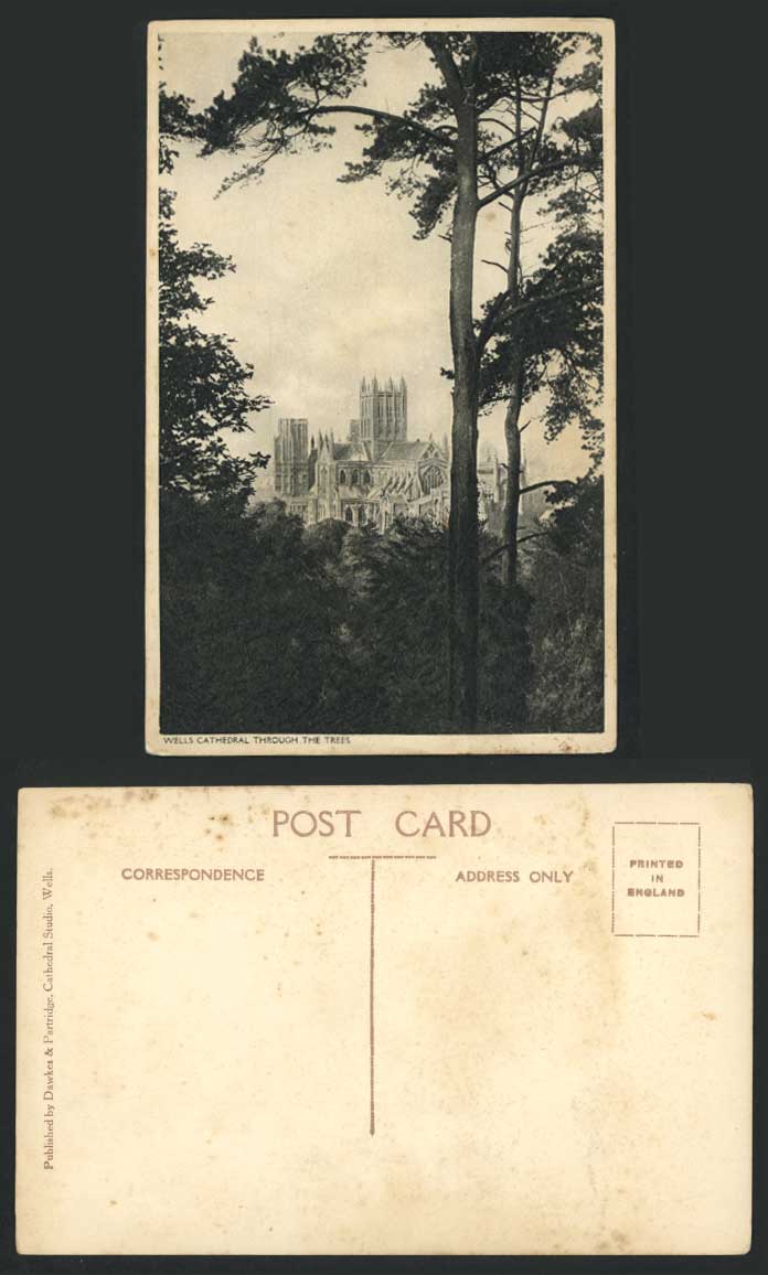 WELLS CATHEDRAL through The Trees, Somerset Old Postcard Dawkes & Patridge Wells