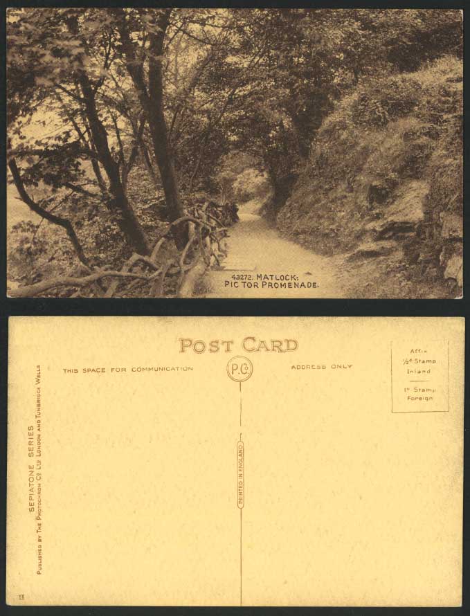 PIC TOR PROMENADE MATLOCK Derbyshire Old Postcard Photochrom Sepiatone No. 43272