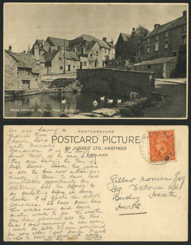 Swanage - The Mill Pond - DOG Ducks Birds Steps Dorset 1945 Old Postcard Judges'