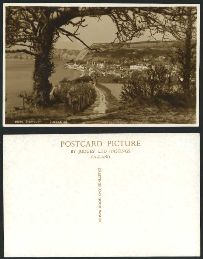 Devon Old RP Postcard SIDMOUTH Cliffs Seaside Panorama through Trees Judges' Ltd
