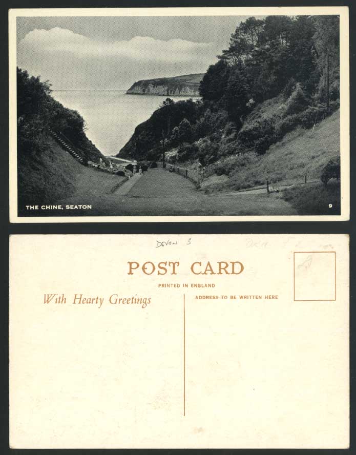 Devon SEATON THE CHINE Old Postcard Steps Cliffs Westcliff With Hearty Greetings