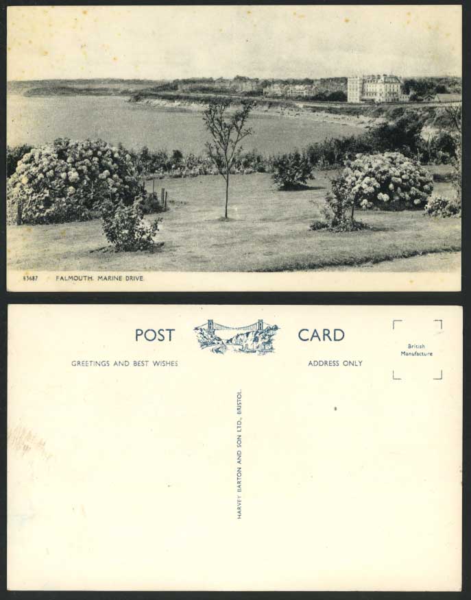 Falmouth Marine Drive Seaside Panorama Cornwall Old Postcard Flowers Garden