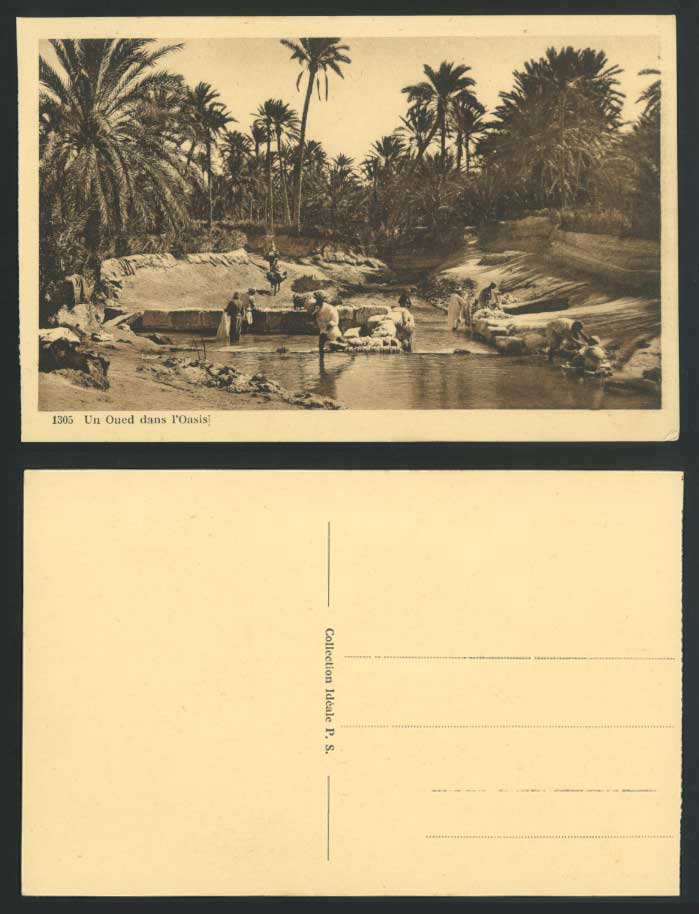 Algeria Old Postcard Une Oued dans l'Oasis Palm Trees Washermen Washerwomen