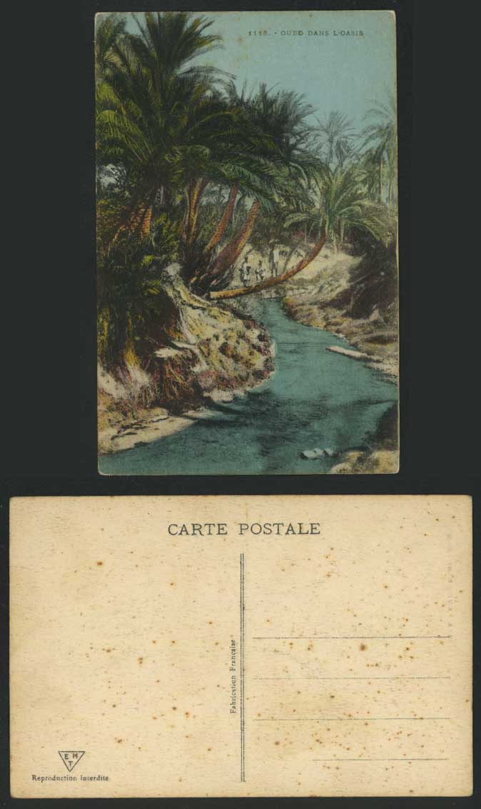 Algeria Africa Old Colour Postcard Oued dans l'Oasis Palm Trees Oasis River View