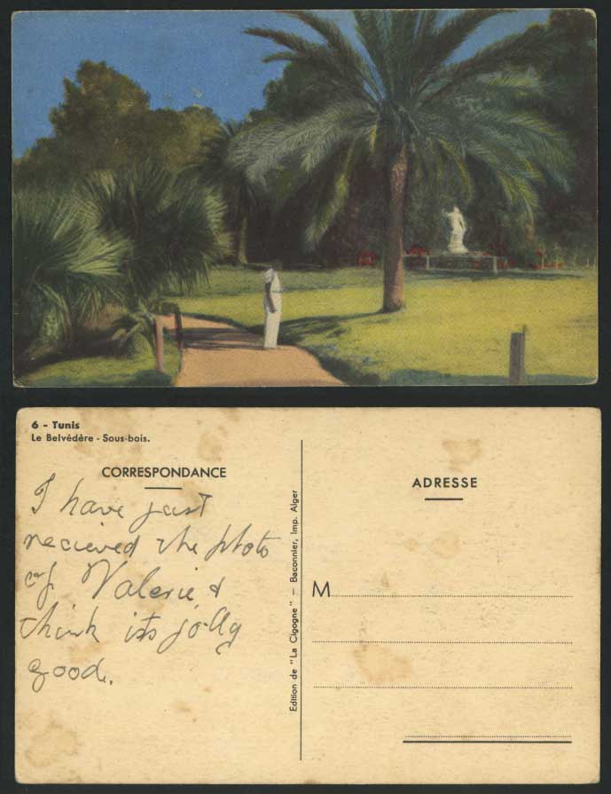 Tunisia Old Colour Postcard Tunis, Le Belvedere Sous-Bois, Palm Tree Statue Park