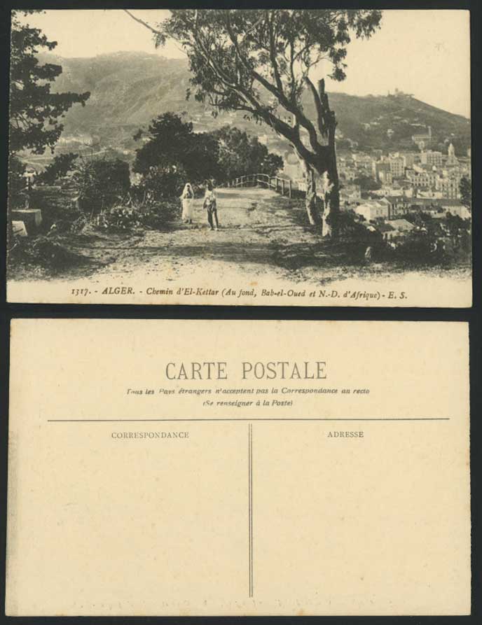 Algeria Old Postcard Alger Chemin d'El-Kettar Bab-el-Oued N D d'Afrique Panorama
