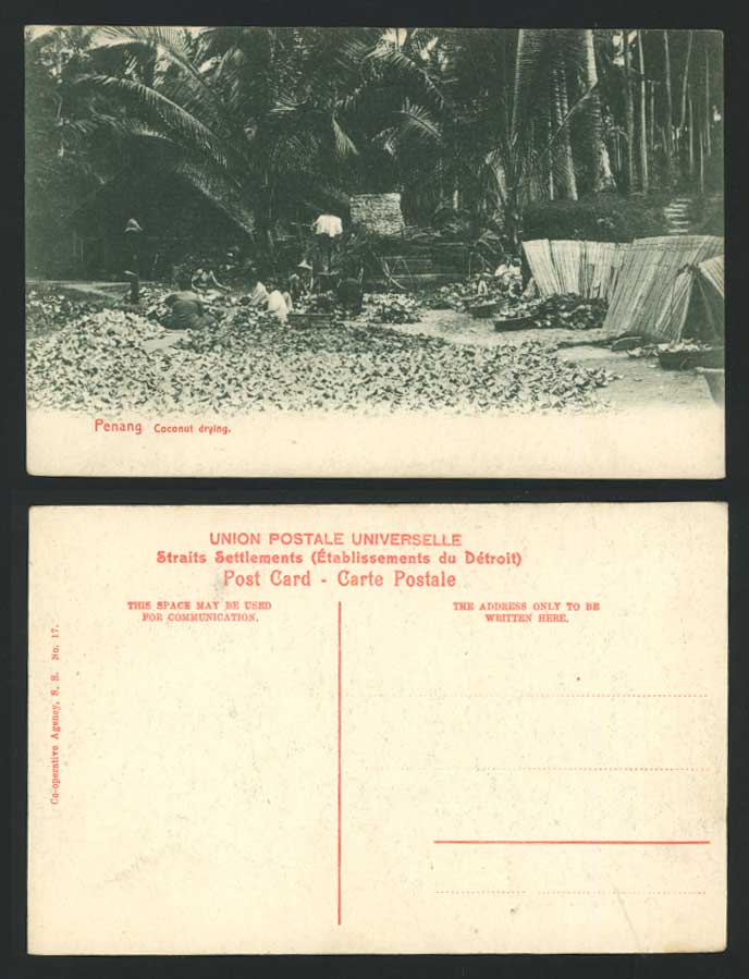 Penang Old Postcard COCONUT DRYING Native Malay Workers Women Malaya Ethnic Life