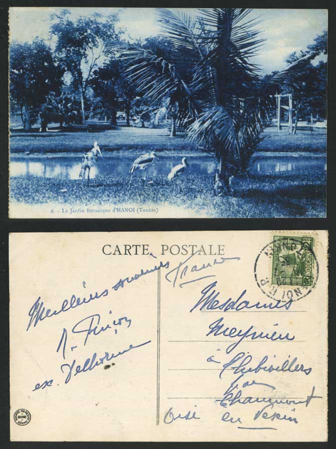 Indo-China 1935 Old Postcard Tonkin Hanoi Botanical Gardens Birds Botanic Garden
