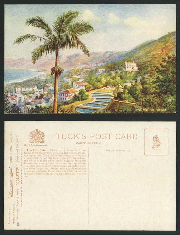 Hong Kong HILL SIDE China Old Tuck's Oilette Postcard Palm Tree Hill Filter Beds