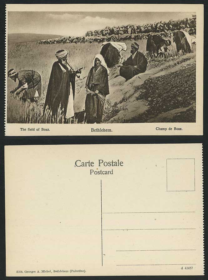 Palestine The Field of Boaz Champ de Boaz, Native Men Women Working Old Postcard