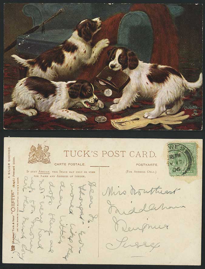 Dog Dogs Puppy Puppies & Coins, A Silver Shower 1906 Old Tuck's Oilette Postcard