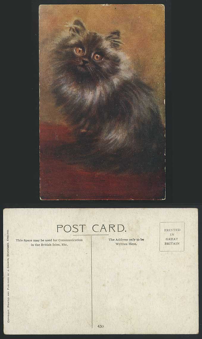 A Persian Cat, Beautiful Kitten Old Colour Postcard Art Artist Drawn Pet Animals