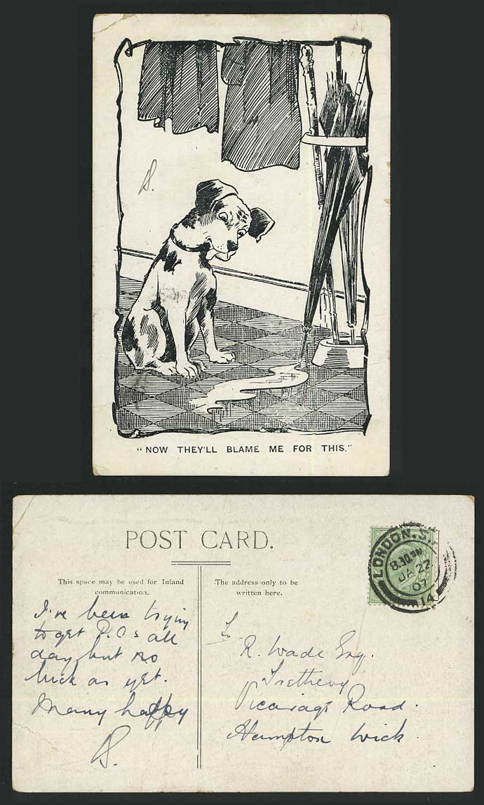 DOG, Comic Humour 1907 Old Postcard Now They'll Blame Me For This, Artist Drawn