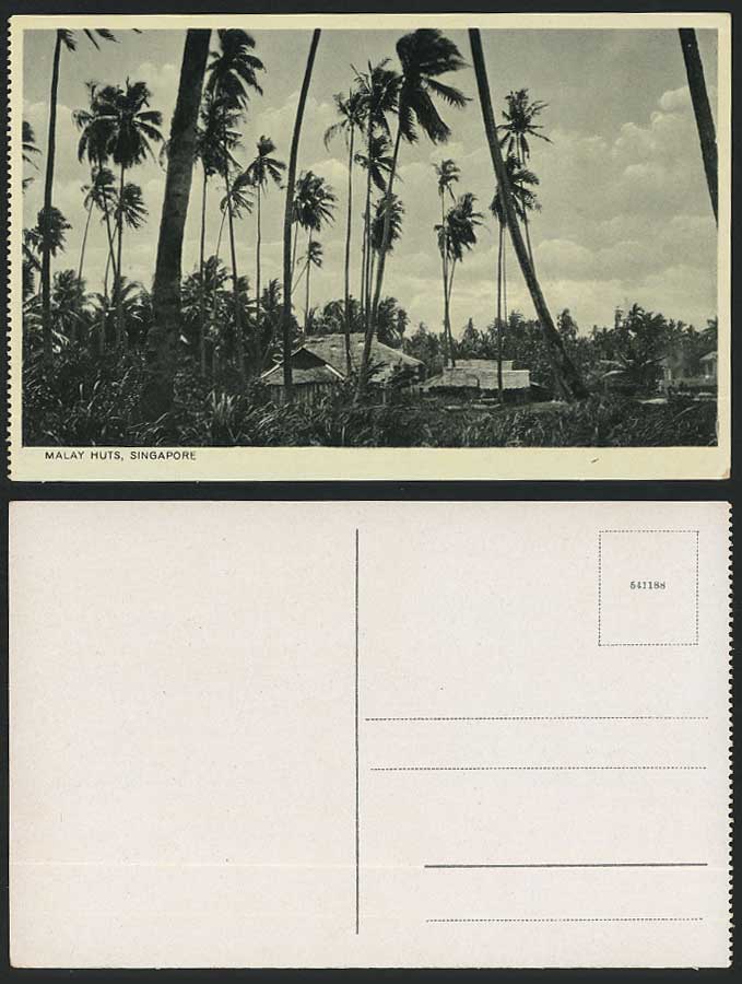 Singapore Old Postcard Malay Huts Houses, Palm Trees, Straits Settlements Malaya