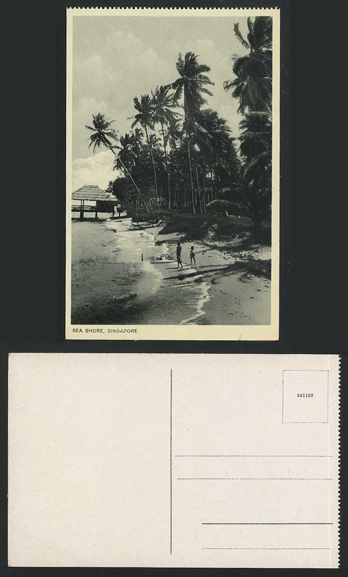 Singapore Old Postcard SEA SHORE, Beach Seaside, Palm Trees, Straits Settlements