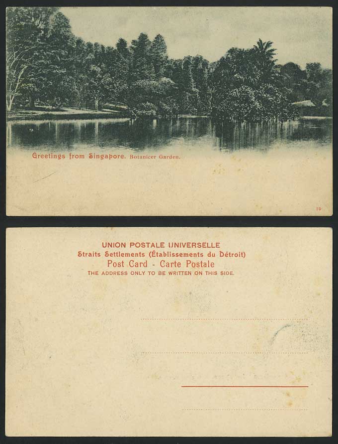 Singapore Greetings from Old Postcard Botanic Garden Botanical Gardens Botanicer