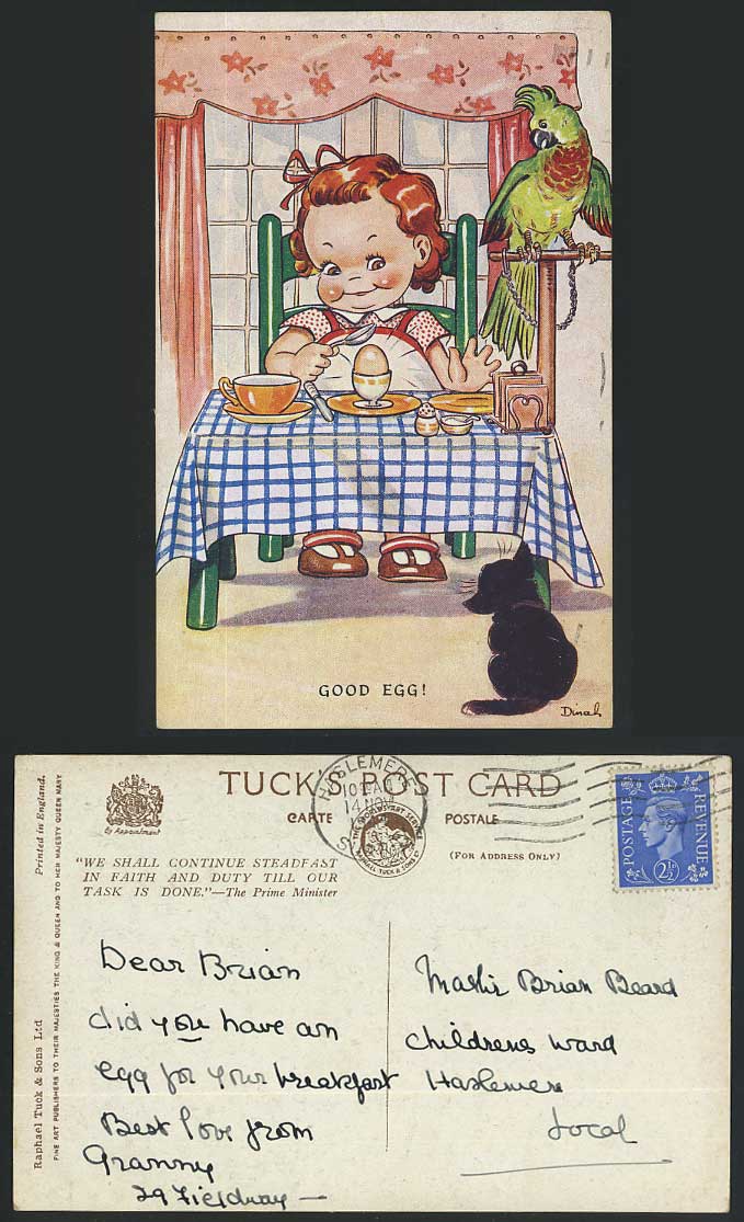 DINAH Artist Signed 1944 Old Tuck's Oilette Postcard GOOD EGGS Parrot Bird & Cat