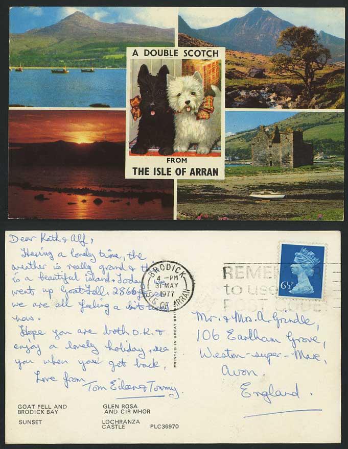 Isle of Arran 2 Scotch Dogs Puppies Old Postcard Goat Fell Brodick Bay Glen Rosa