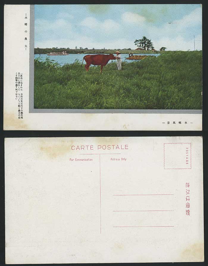 Japan Old Postcard Japanese Farmer & Cattle Ibaraki Itako River Lake Scene Boats