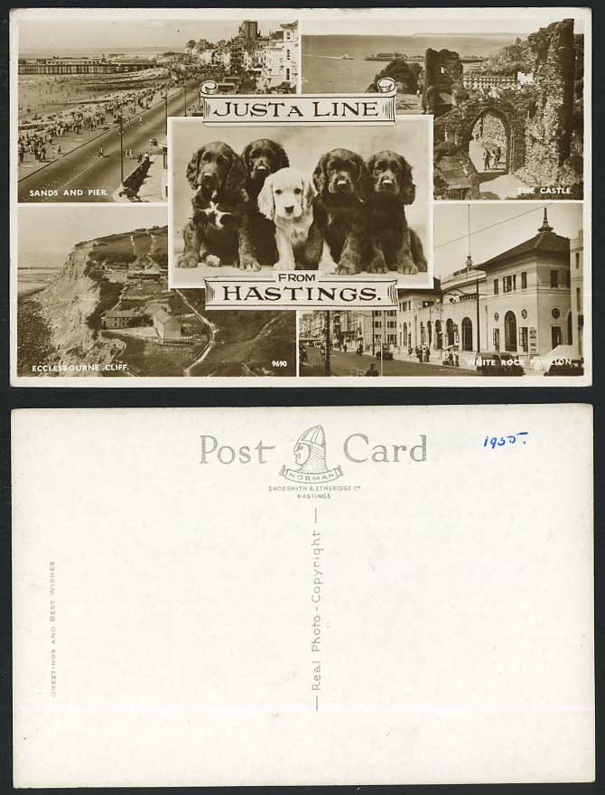 Hastings 1955 Old Postcard DOGS PUPPIES, White Rock Pavilion, Ecclesbourne Cliff