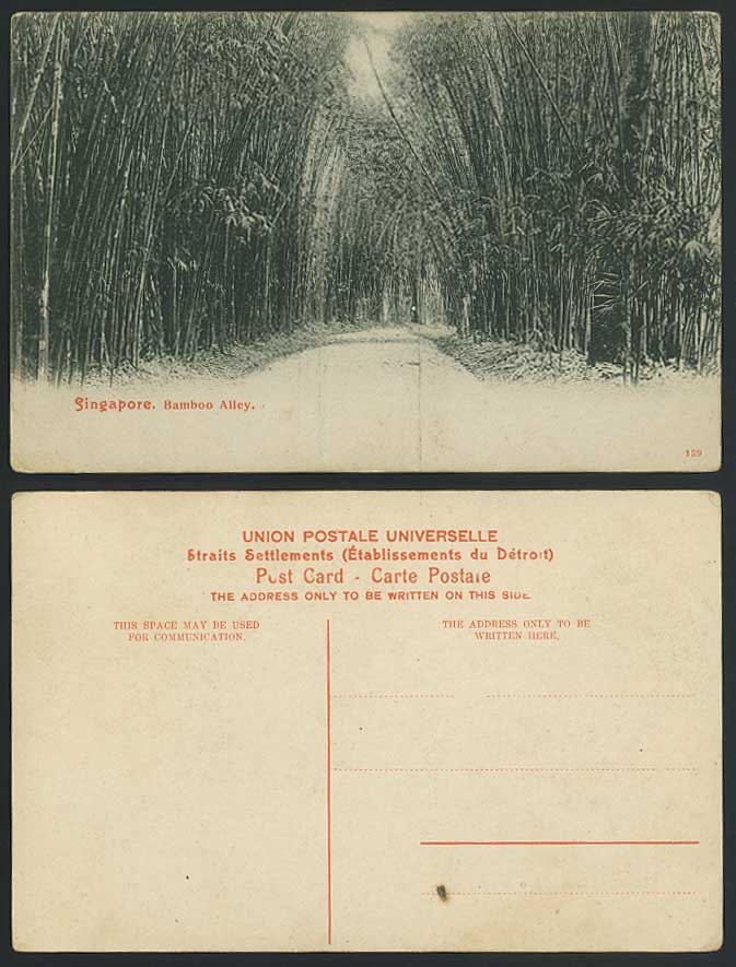 Singapore Old Postcard Bamboo Alley, Bamboos, Trees, Forest, Straits Settlements