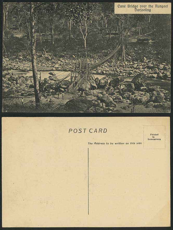 India Old Postcard CANE BRIDGE over The RUNGEET Darjeeling - River Scene & Rocks