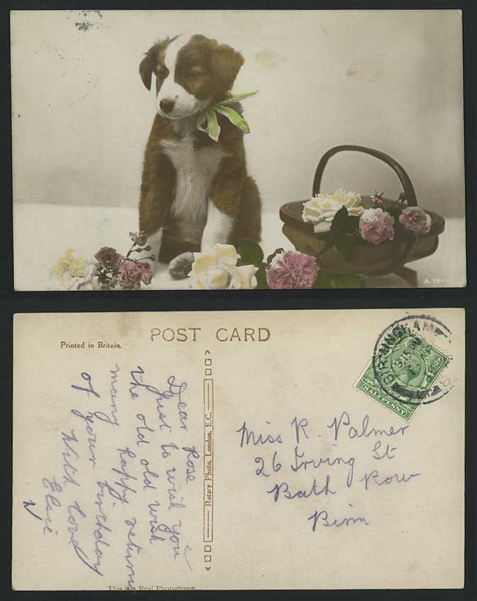 Dog Puppy & Roses Rose Flowers, Basket 1916 Old Colour Hand Tinted R.P. Postcard