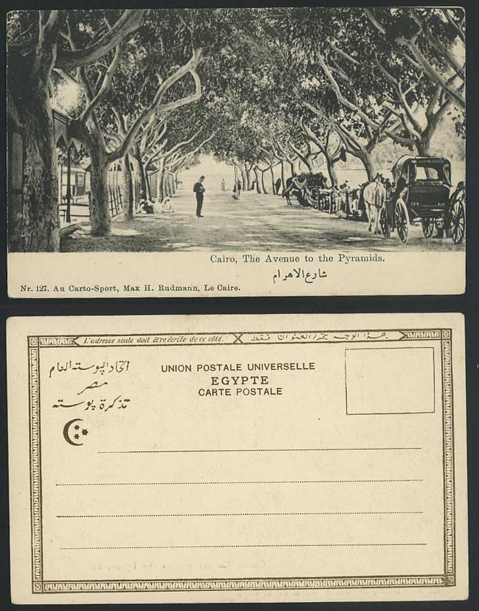 Egypt Old UB Postcard Cairo AVENUE to PYRAMIDS Camels Horse Drawn Carriage Wagon