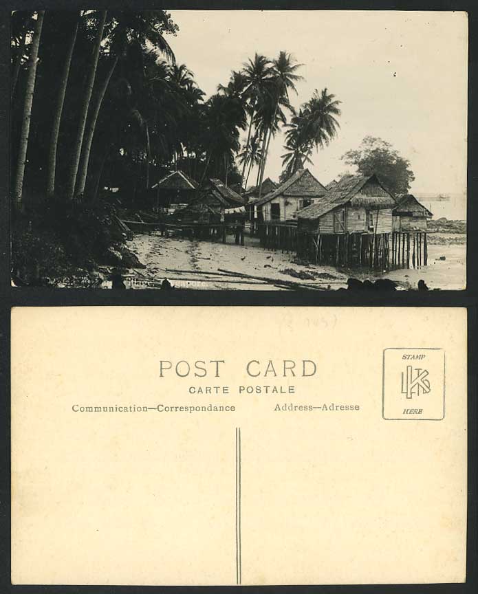 Singapore Old Real Photo Postcard Malay Village Huts Houses on Stilts Beach Palm