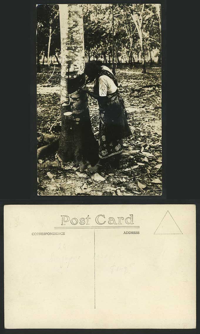 Singapore Old RP Postcard Native Malay Woman Tapping Rubber Treem English Method