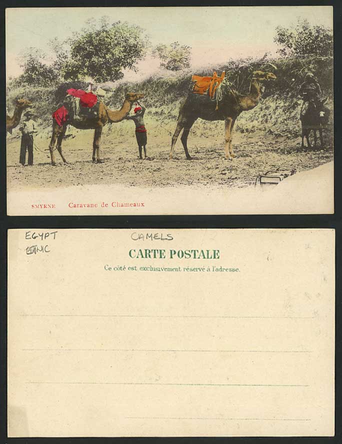 Turkey SMYRNE Old Hand Tinted U.B. Postcard Camel Caravan, Camels & Donkey IZMIR