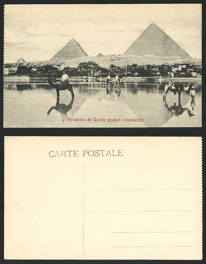 Egypt Old Postcard Cairo PYRAMIDS GIZA Pyramides Guizeh Inondation Flood Camels
