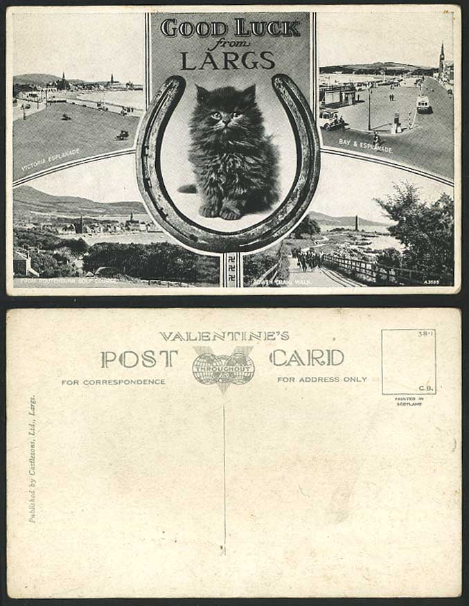LARGS Old Postcard Cat Kitten Victoria Esplanade, Bowen Craig Walk & Golf Course