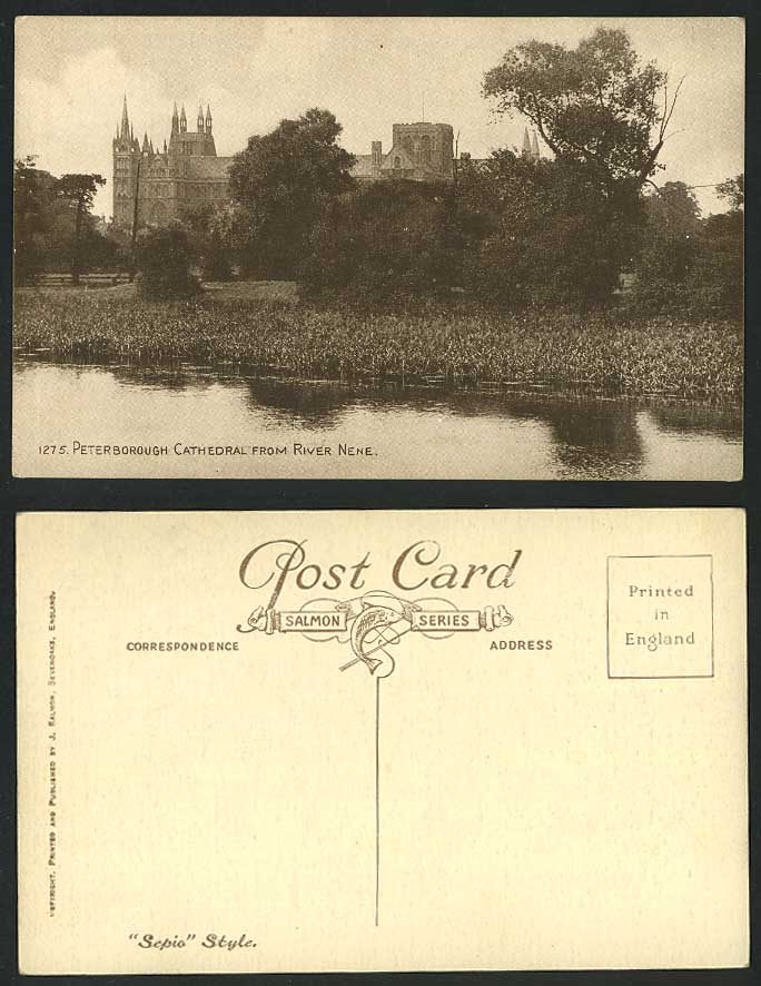 Peterborough Cathedral from River Nene, Cambridgeshire Old Postcard Church Scene