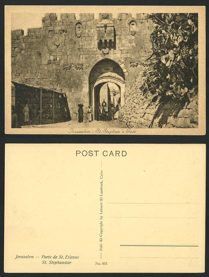 Palestine Old Postcard Jerusalem St. Stephan's Gate Donkey or Horse Rider Cactus