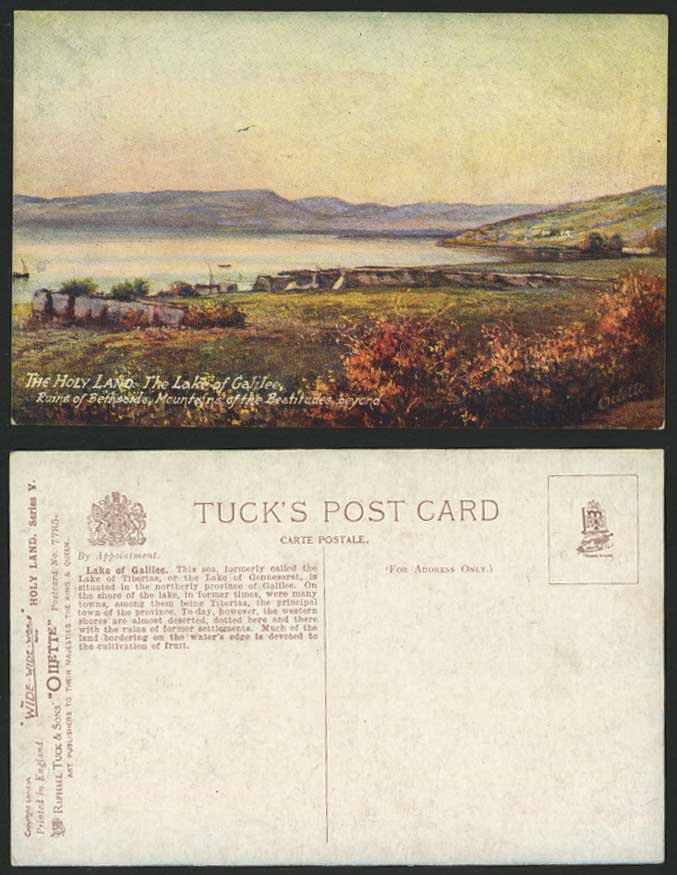 Palestine Old Tuck's Postcard Lake of Galilee Tiberias Bethsaida Ruin Beatitudes