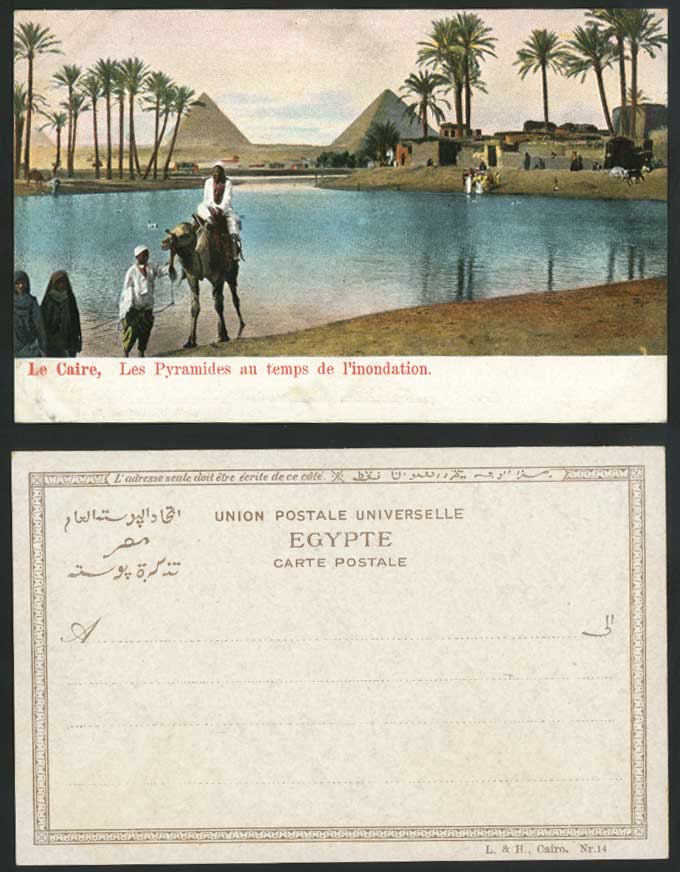 Egypt Old U.B. Postcard Cairo Camel Rider PYRAMIDS Flooded Nile River Inondation