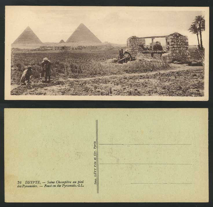 Egypt Old Postcard Cairo Feast on Pyramids Scene Champetre au Pied des Pyramides