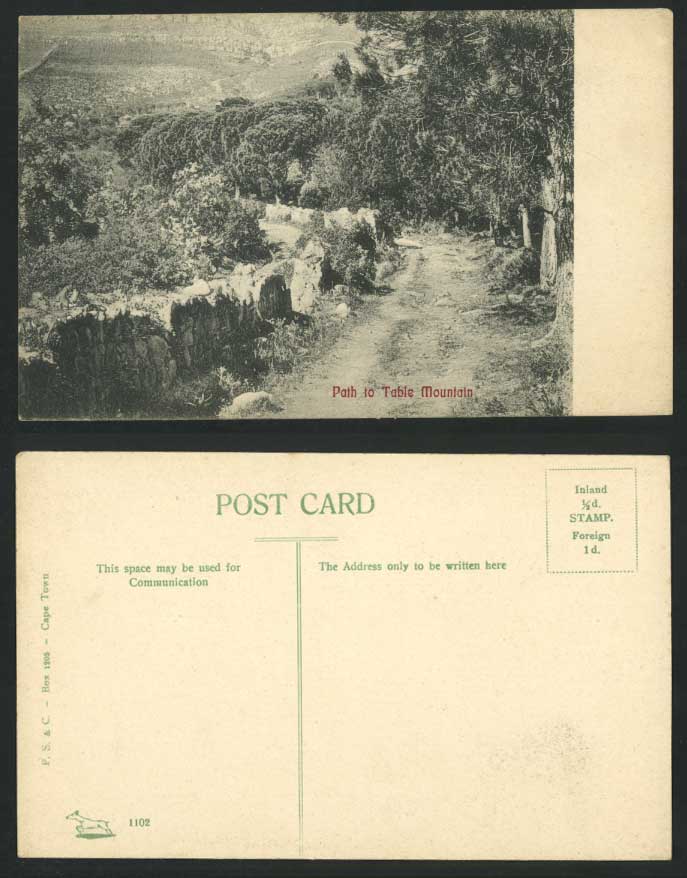 South Africa, PATH to Table Mountain, Cape Town Capetown, Old Postcard P.S. & C.